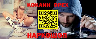крисы Кунгур