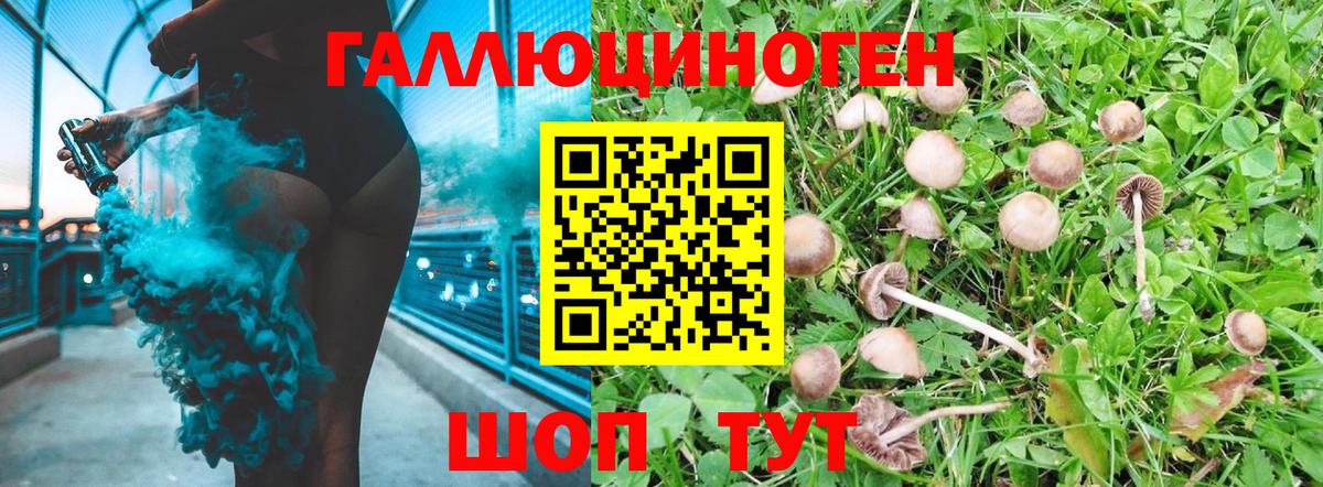 Зеленодольск  Галлюциногенные грибы мицелий  Вход с VPN 